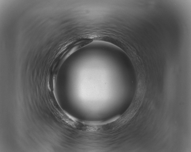 X0000077360096200610201334