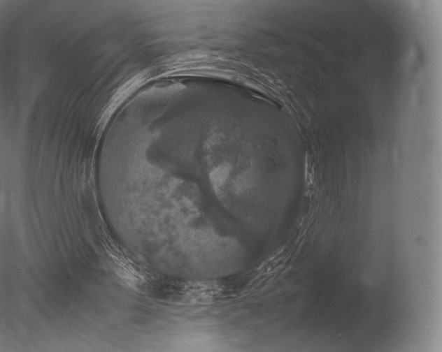 X0000077360099200610201333