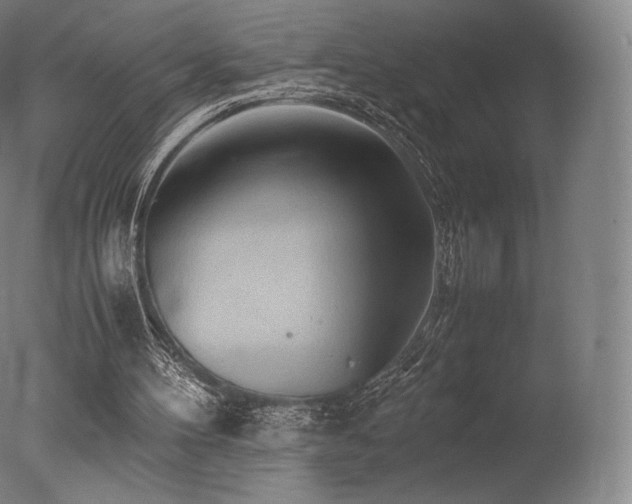 X0000077360100200610201333