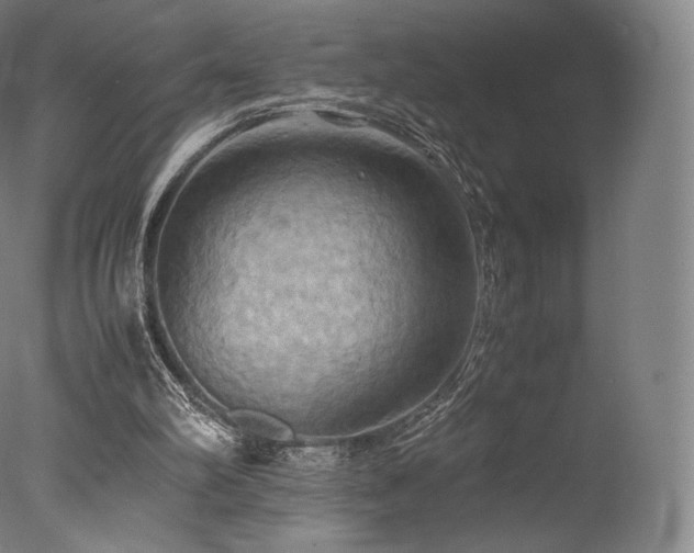 X0000077360102200610201333