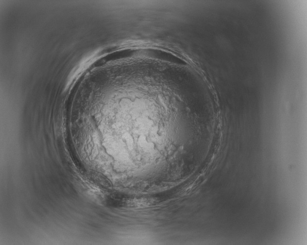 X0000077360103200610201333