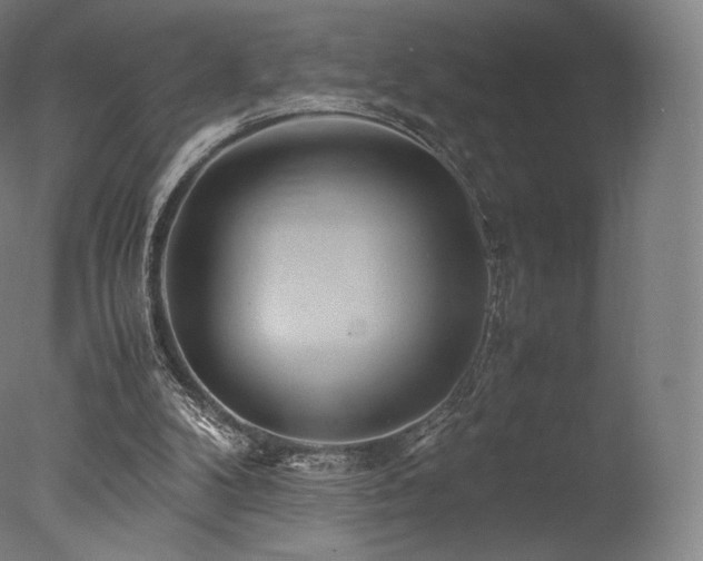 X0000077360104200610201333