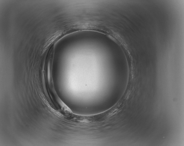 X0000077360105200610201333