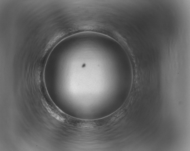 X0000077360106200610201333