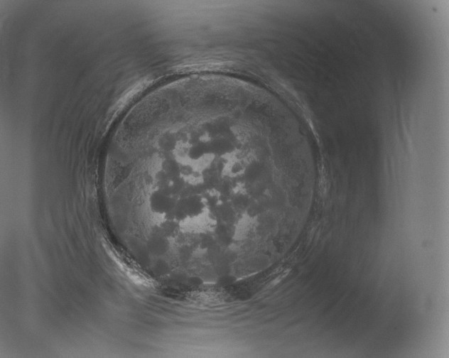 X0000077360107200610201333