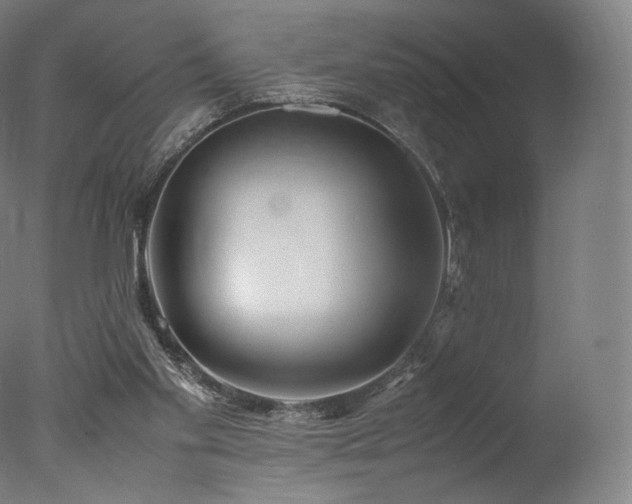 X0000077360109200610201333