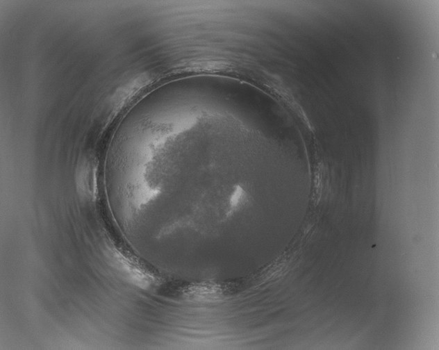 X0000077360110200610201333