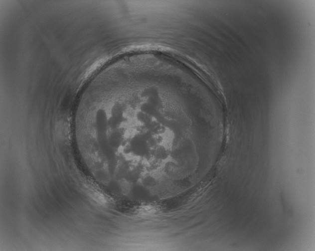 X0000077360111200610201333