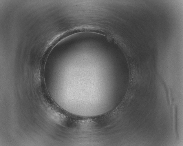 X0000077360112200610201333