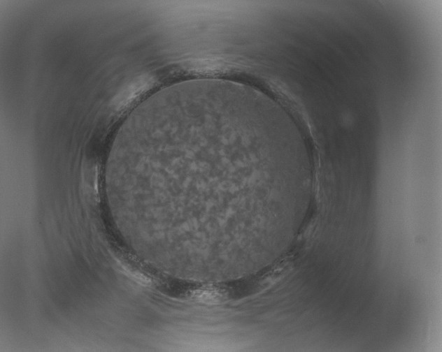 X0000077360115200610201333