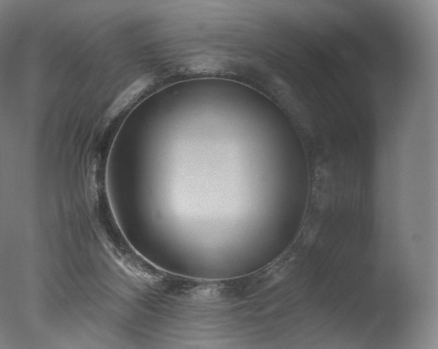 X0000077360116200610201333