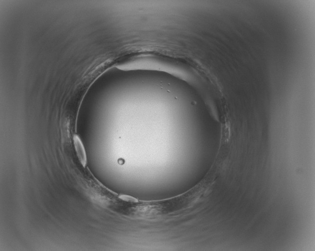 X0000077360117200610201333