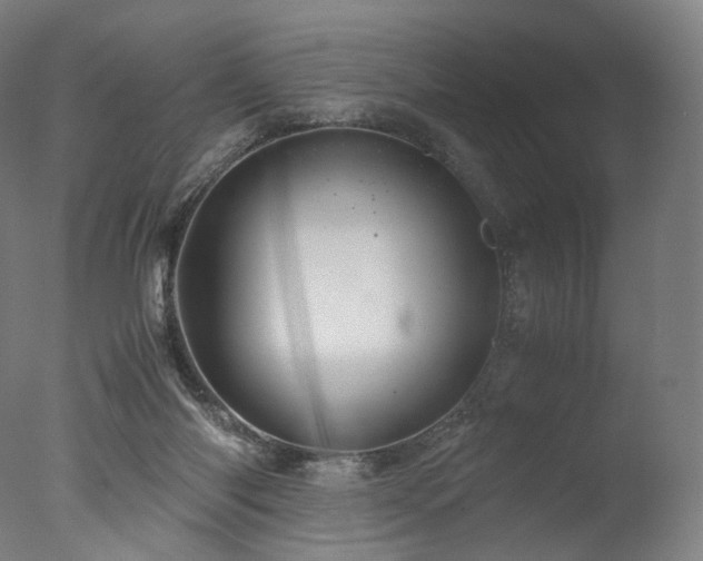 X0000077360118200610201333