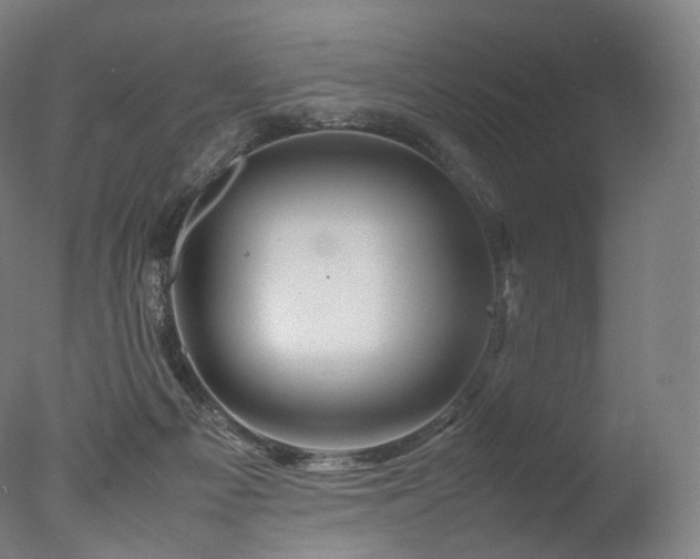 X0000077360121200610201333