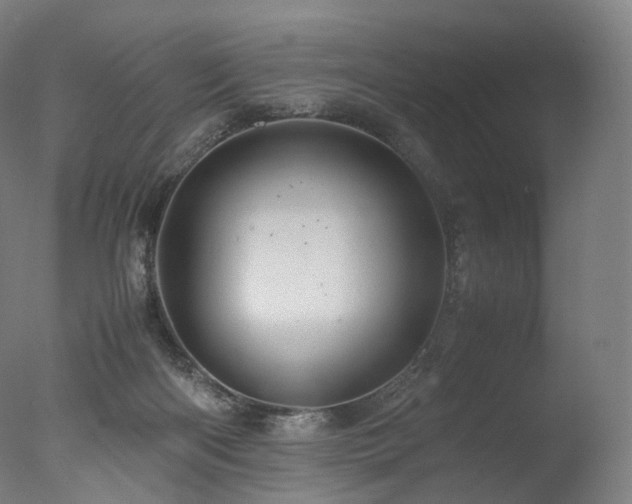 X0000077360122200610201333