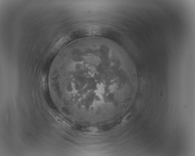 X0000077360123200610201333