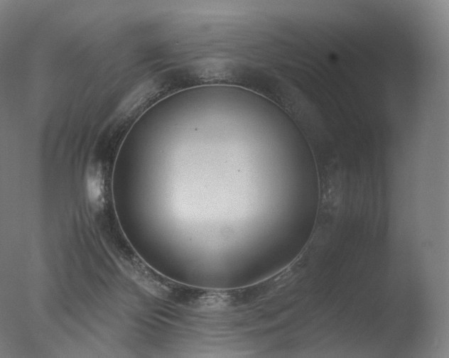 X0000077360124200610201333