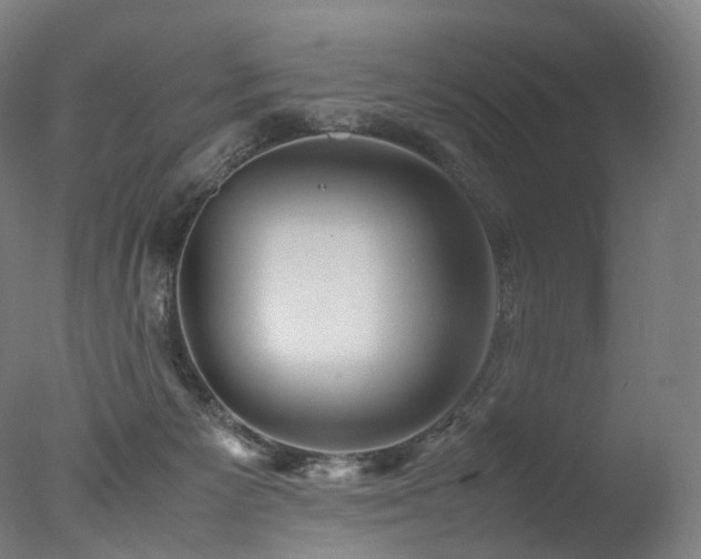 X0000077360125200610201332