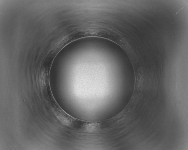 X0000077360126200610201332