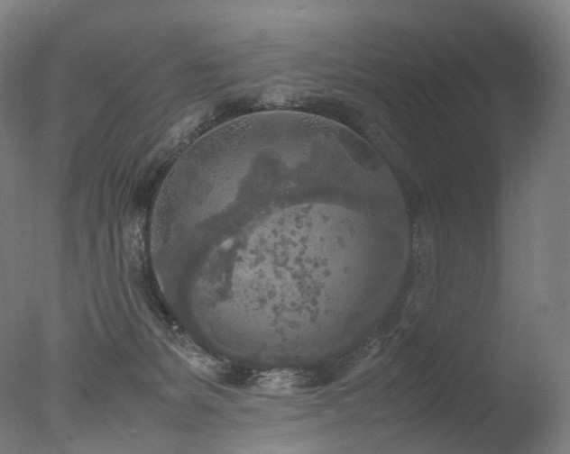 X0000077360127200610201332