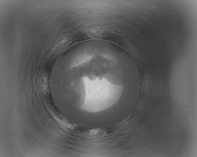 X0000077360130200610201332