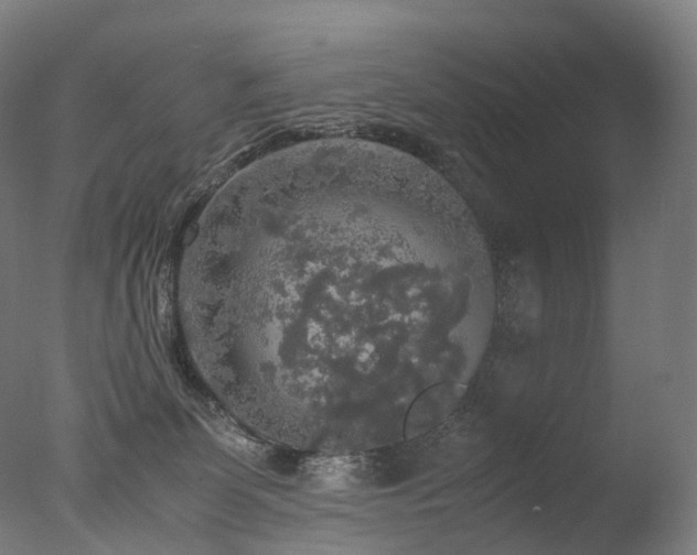 X0000077360131200610201332