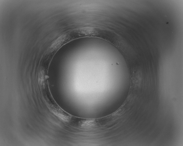 X0000077360132200610201332