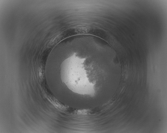 X0000077360134200610201332