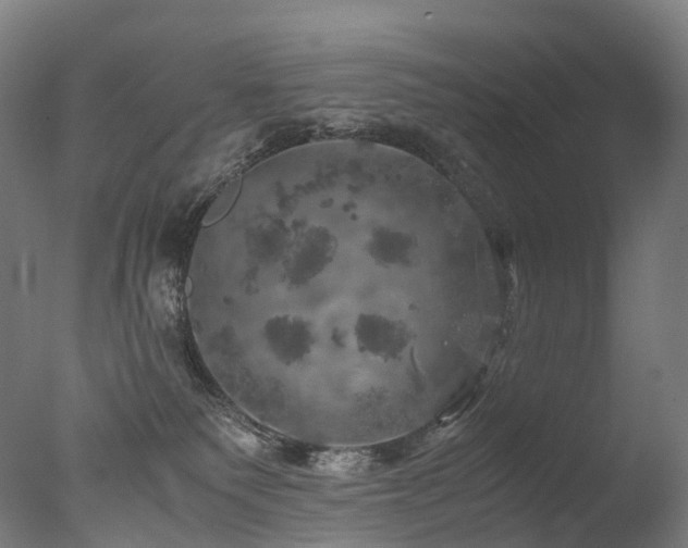 X0000077360135200610201332