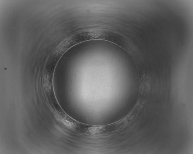 X0000077360136200610201332