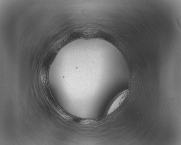 X0000077360137200610201332