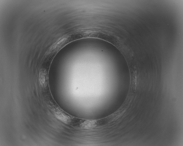 X0000077360138200610201332