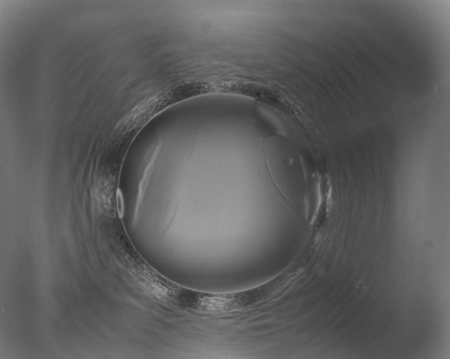 X0000077360139200610201332