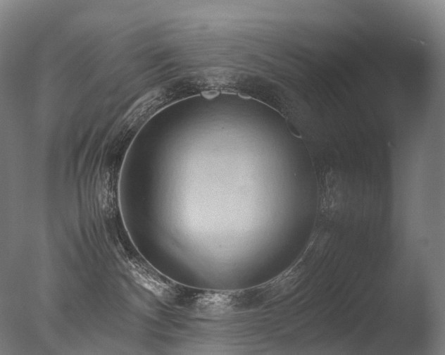 X0000077360140200610201332