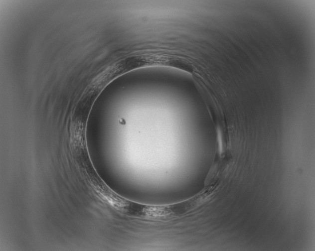 X0000077360141200610201332