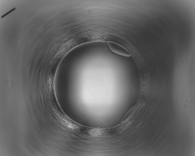 X0000077360142200610201332