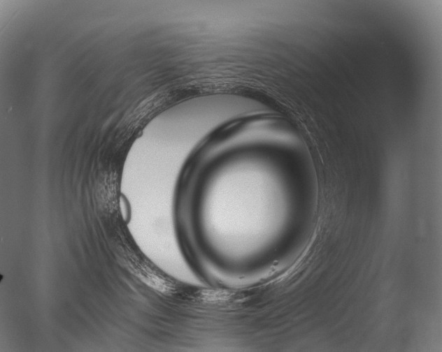 X0000077360144200610201332