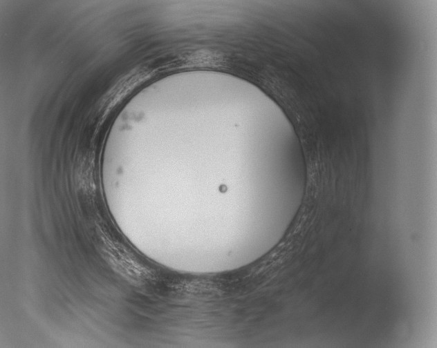 X0000077360146200610201331