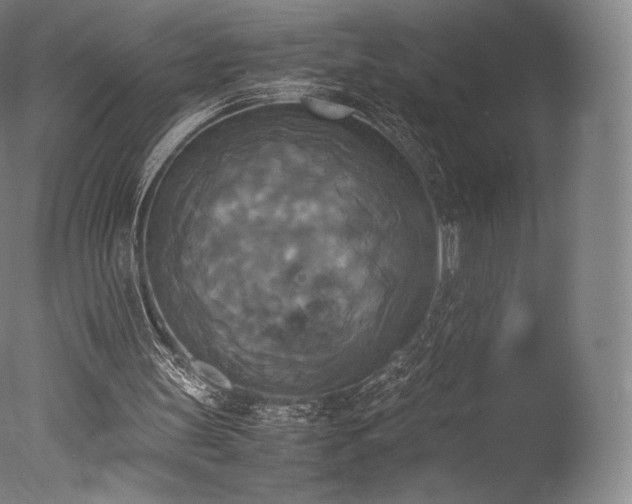 X0000077360147200610201331