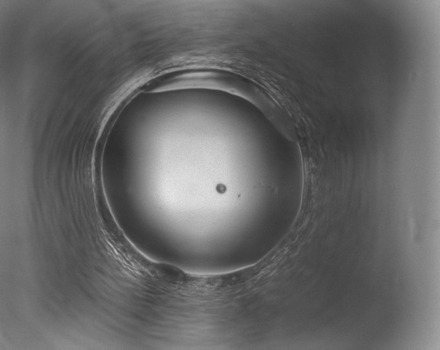 X0000077360148200610201331