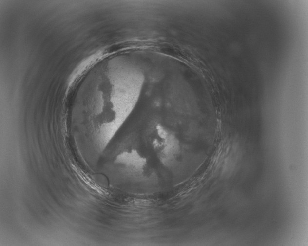 X0000077360149200610201331