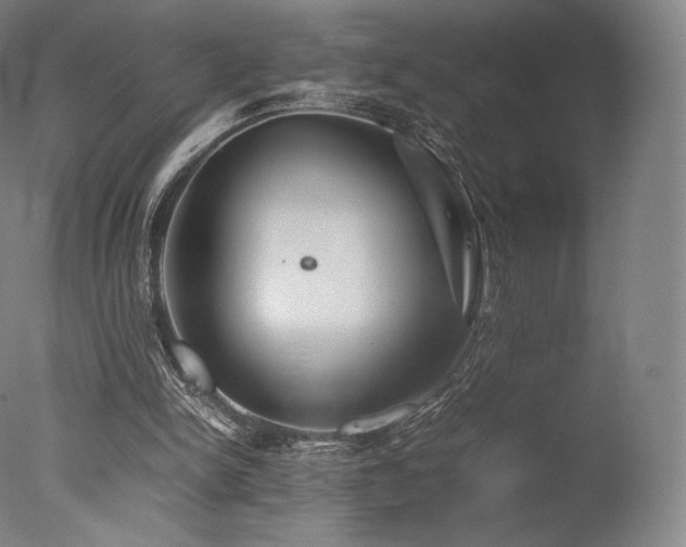 X0000077360150200610201331