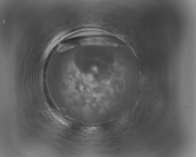 X0000077360151200610201331