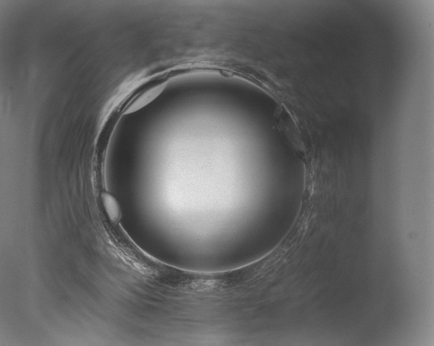 X0000077360152200610201331