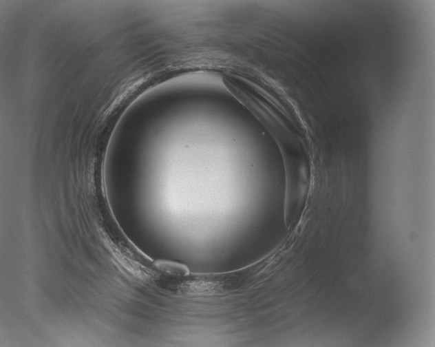 X0000077360154200610201332