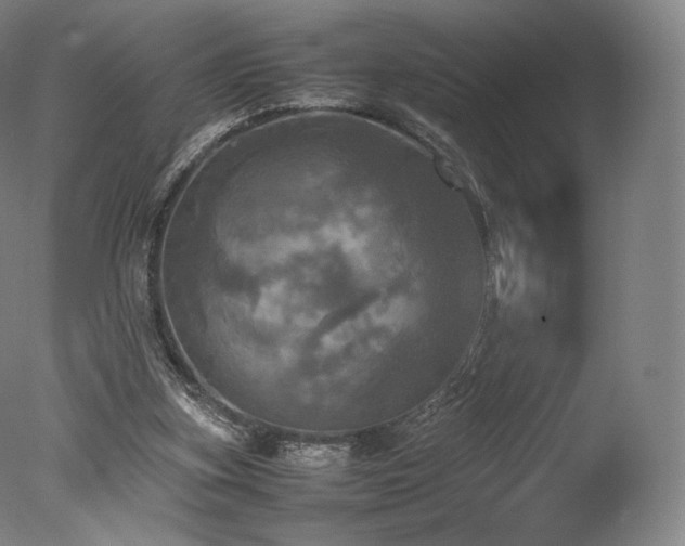 X0000077360155200610201332