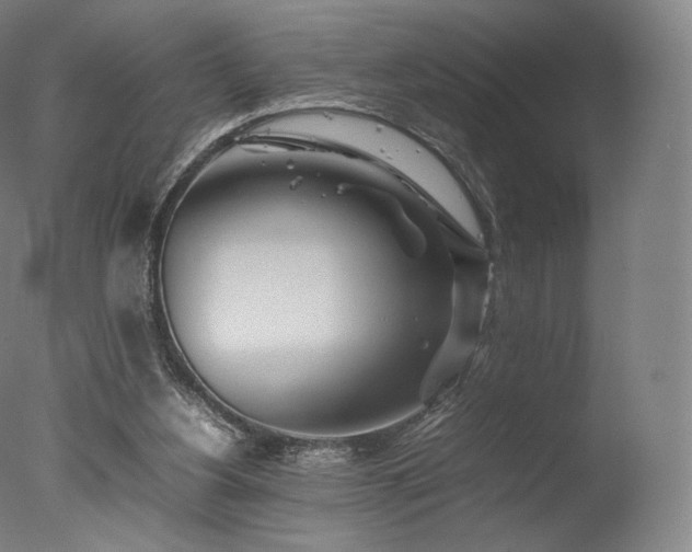 X0000077360156200610201332