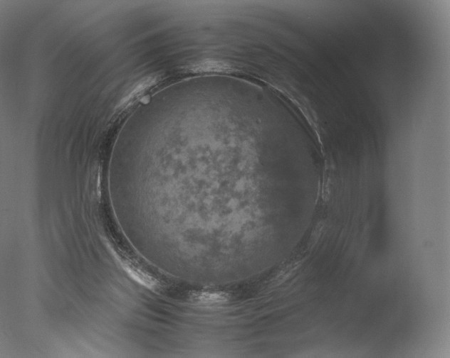 X0000077360157200610201332