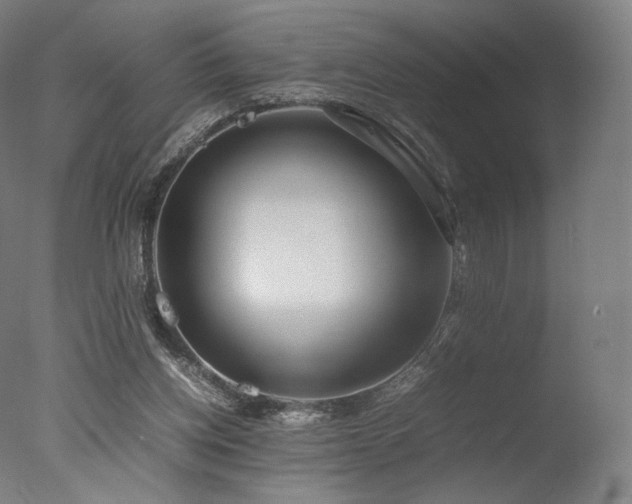 X0000077360158200610201332