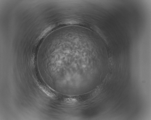 X0000077360159200610201332